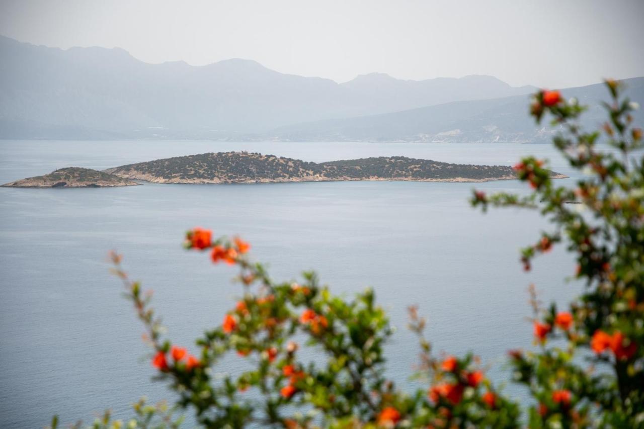 Miracle View Villas Agios Nikolaos  Exterior photo